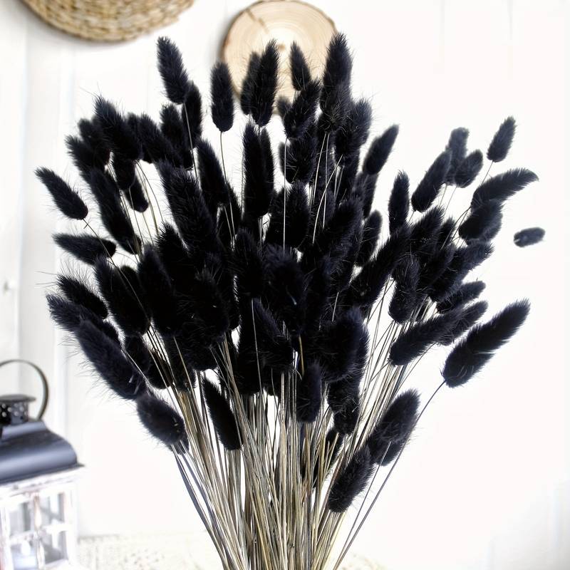 Pampas Herbs - 60 Units
