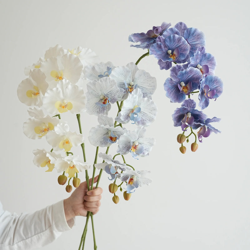 Flores de orquídea