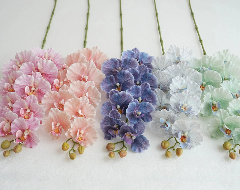 Flores de orquídea