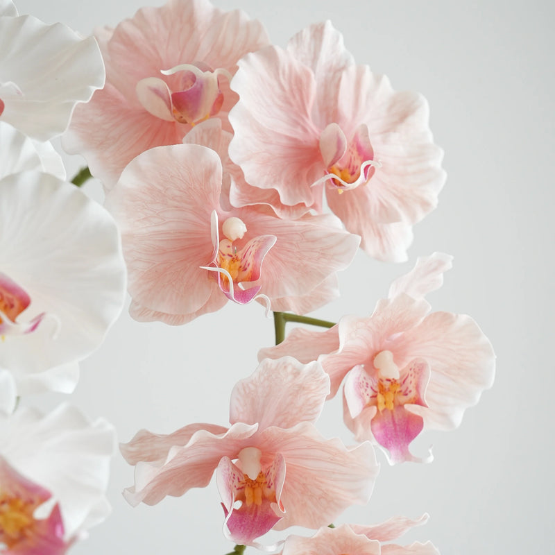 Flores de orquídea