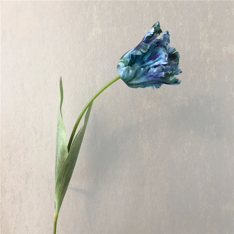 Tulipa Luxo