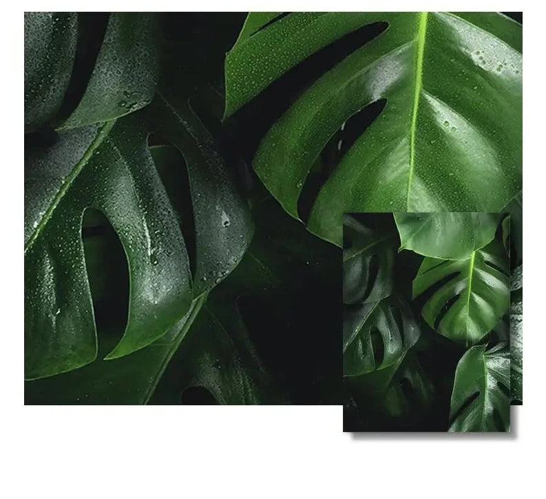Poster - Tropical