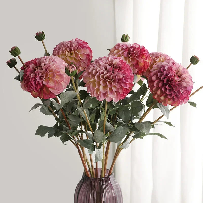 Autumn Daisies