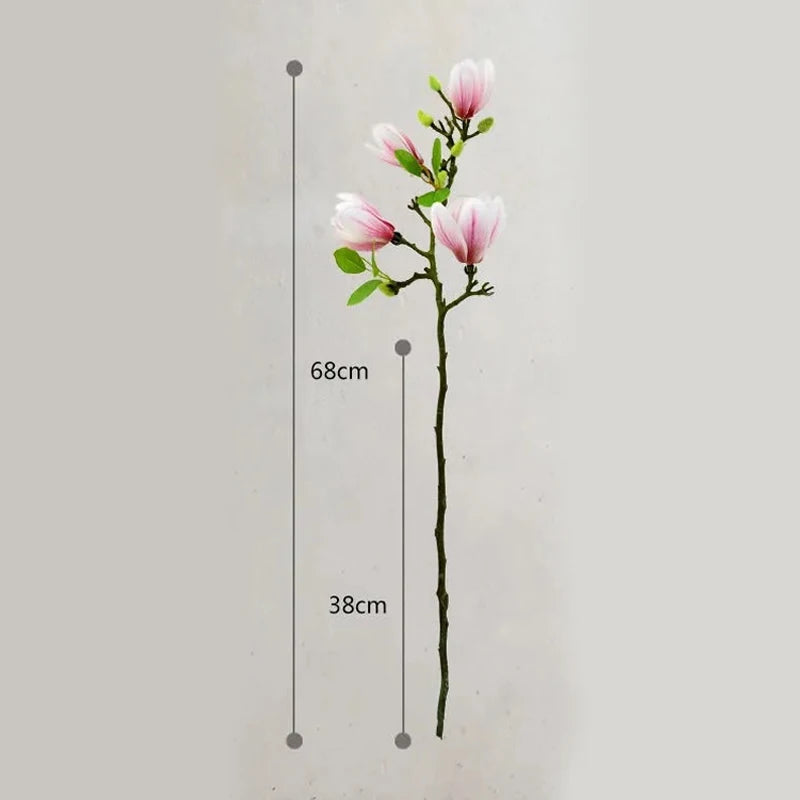 Flor de magnólia