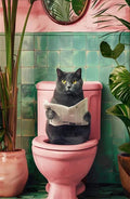 Poster - Funny Cats
