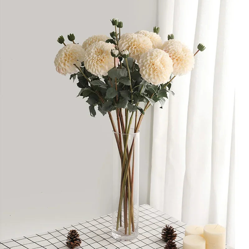 Autumn Daisies