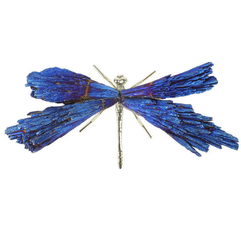 Libélula - Chakra
