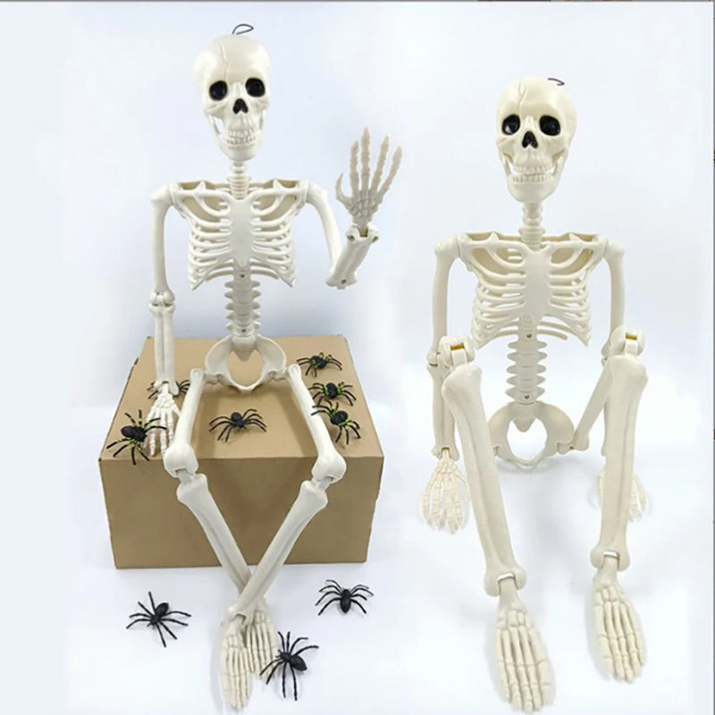 Esqueleto - Hallowen