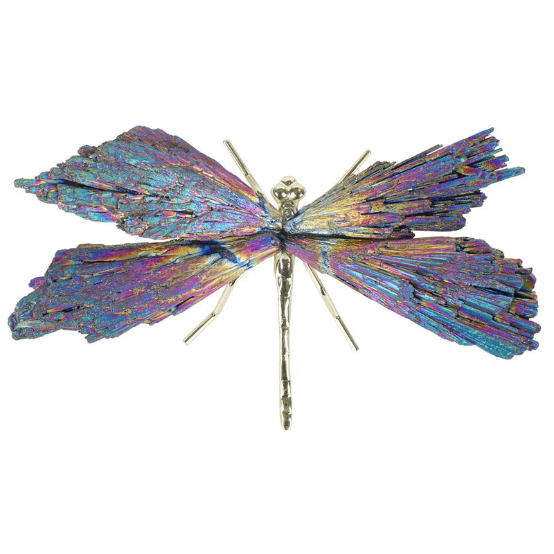 Libélula - Chakra