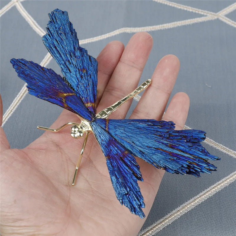 Libélula - Chakra