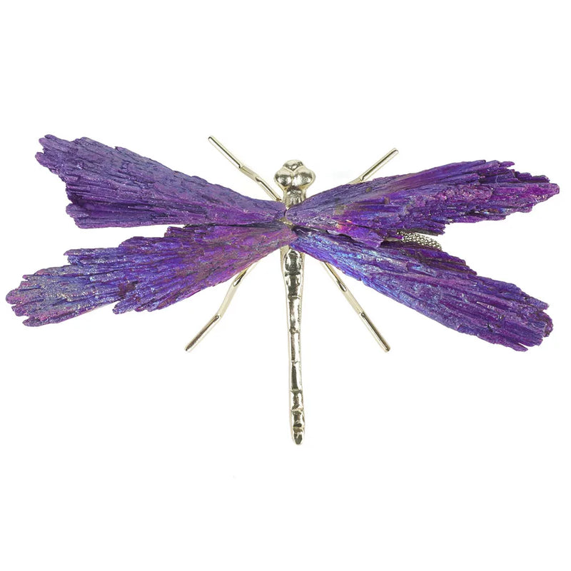 Libélula - Chakra