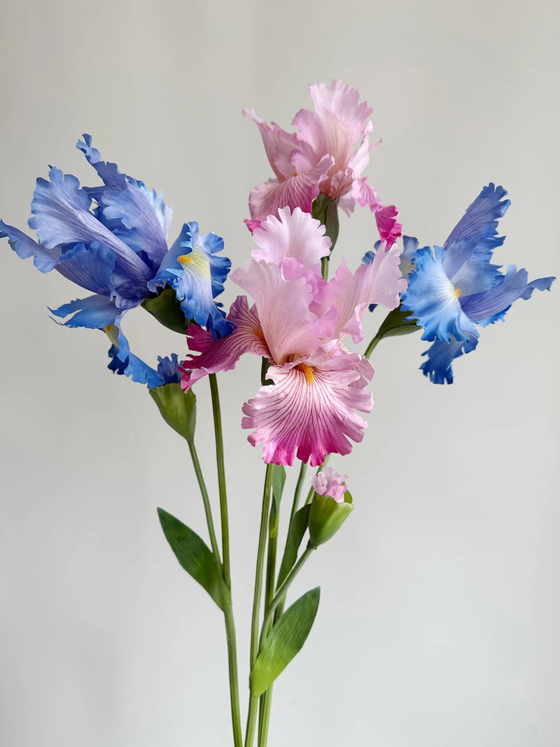 Flor de íris