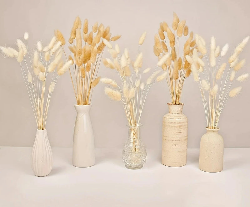 Pampas - Cauda de coellho (desidratada)