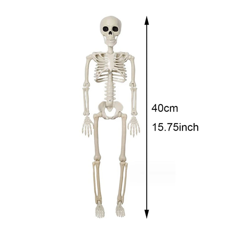 49478688014651