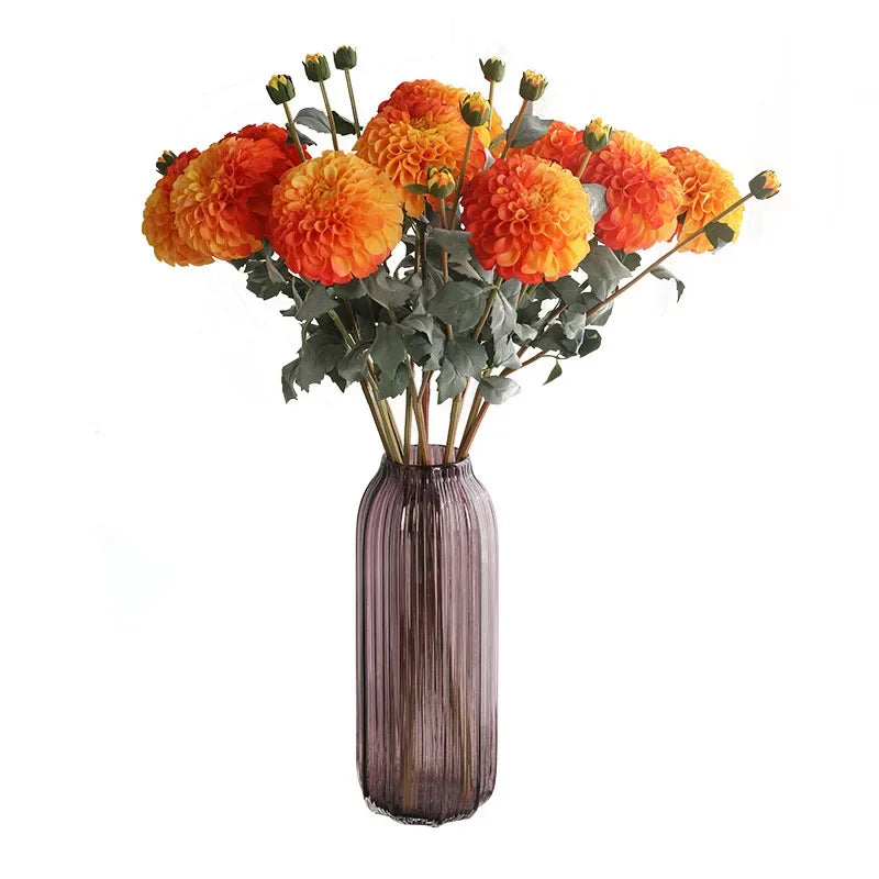 Autumn Daisies