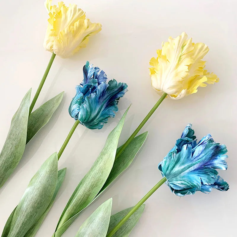 Tulipa Luxo