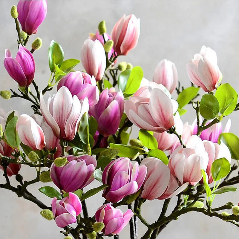 Flor de magnólia