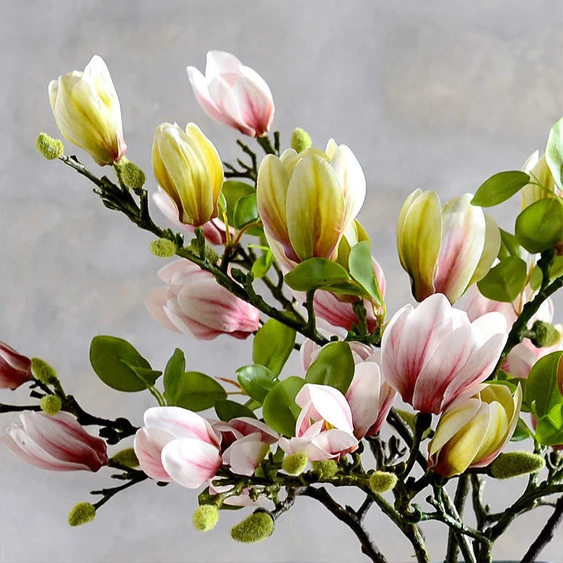 Flor de magnólia