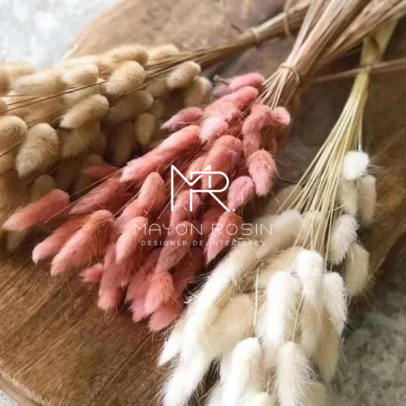 Pampas - Cauda de coellho (desidratada)