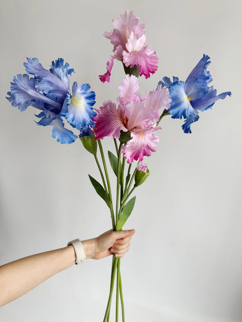 Flor de íris