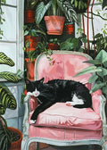 Poster - Funny Cats
